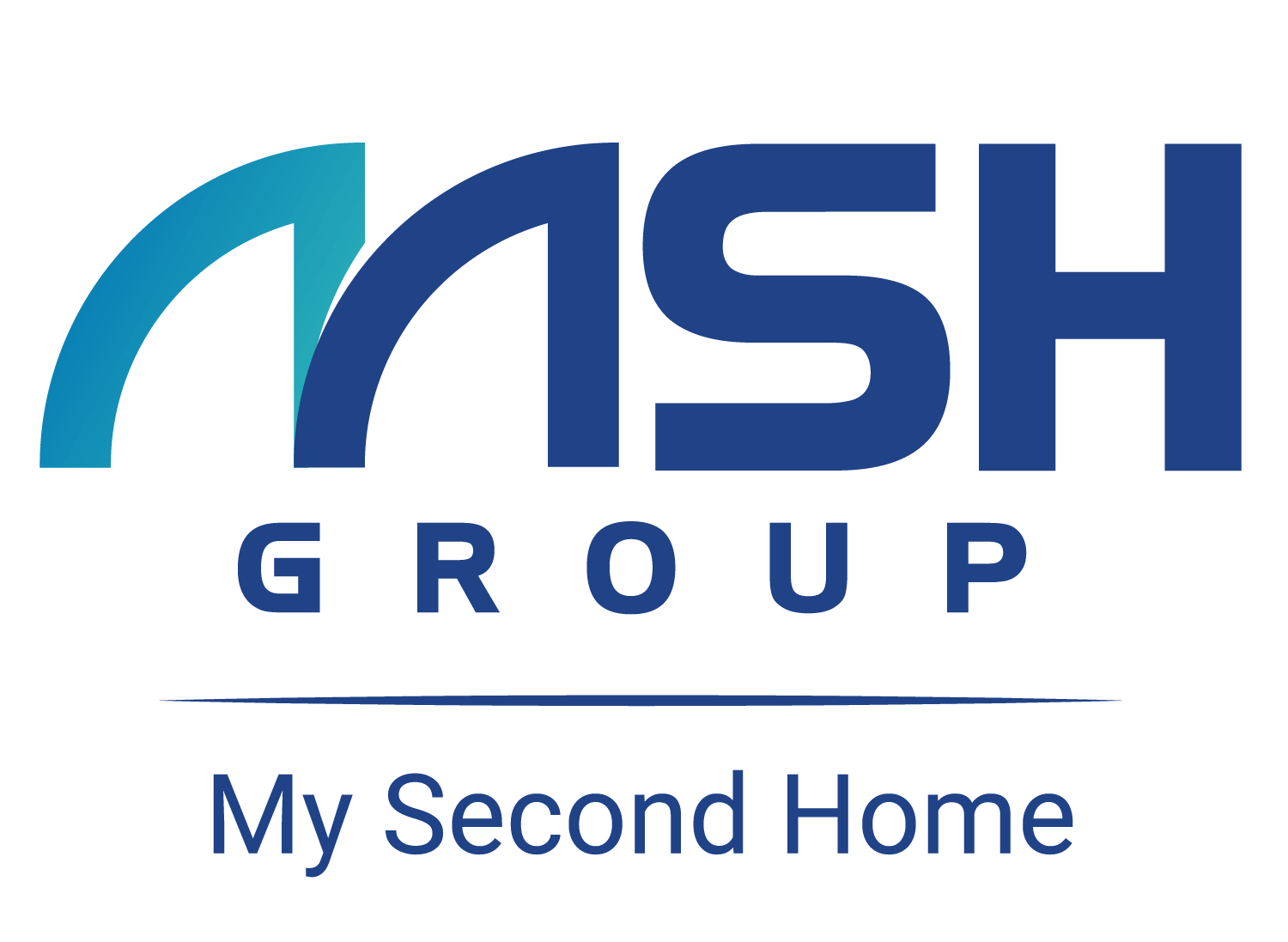 msh group
